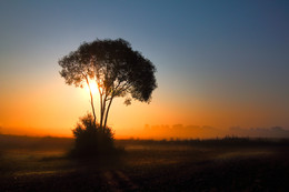 | SILENCE MORNING | / Im Sonnenaufgang eine Gegenlichtaufnahme. Ort: Mecklenburg-Vorpommern