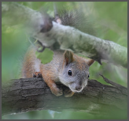Verstecken spielen / ---
