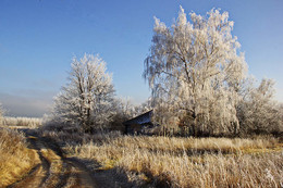 Frost / ***