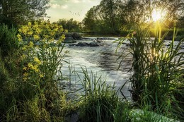 Abendstimmung / Aufnahme in unserem Naherholungsgebiet