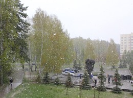Der Frühling kommt / ***