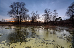 Alter Teich ... / ***