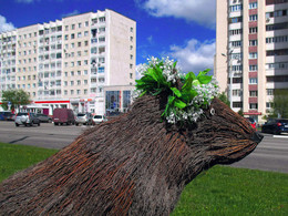 Spring comes / ***