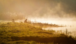 On a misty shore / ***