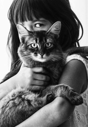 The cat / sony nex7 helios44m4