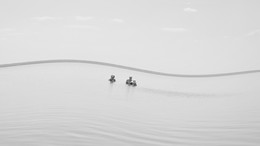 POSITIVE WAVES / ......