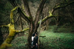 Wild forest / ***