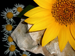 Summertime / ***