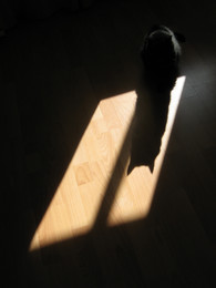  / Black and sun