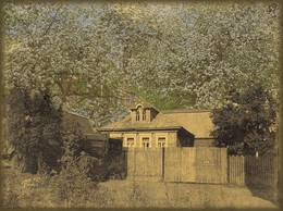 Spring in the Country / ***