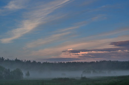 Nebel / ***
