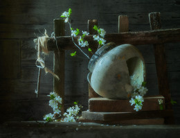 Spring expansion / ...