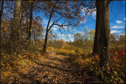 Autumn sketches / ***
