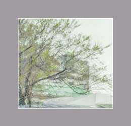 Elementarteilchen / ***