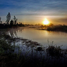 &nbsp; / Vechernyaya ten'