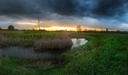 Streamlet / ...