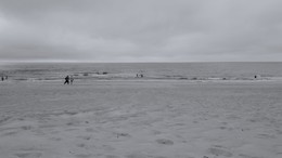 Gray. / [...]