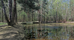 Morgen auf dem See ... / ***