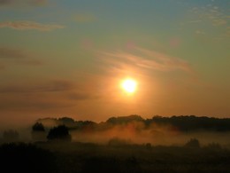 Nebel / ***