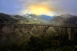 Bridge / ***