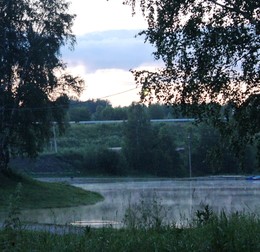 A furry fog / ***