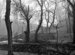 A furry fog / ***