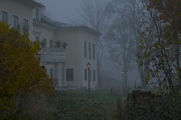 A furry fog / ***