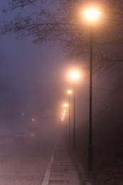 A furry fog / ***