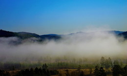 A furry fog / ***