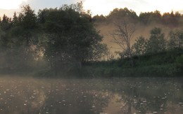 A furry fog / ***
