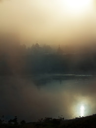 A furry fog / ***