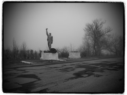 A furry fog / ***