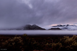 A furry fog / ***