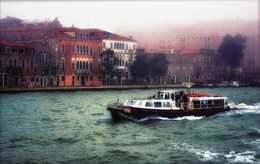 A furry fog / ***