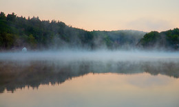 A furry fog / ***