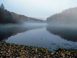 Wollige Nebel / -----