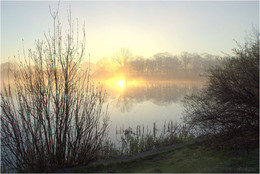 Frühling Morgendämmerung / ***