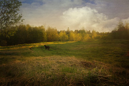 In the field / ***