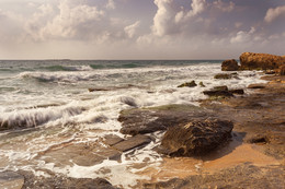 Mediterranean / ***