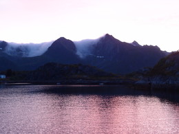 A furry fog / ***
