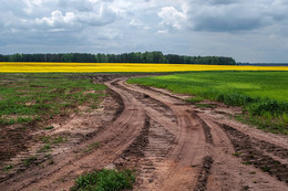 road in a field / ***