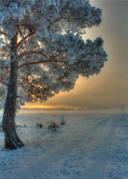 Frosty / ***