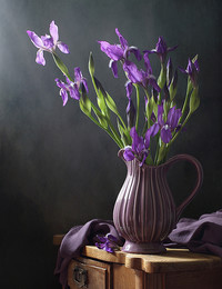 Irises / ***