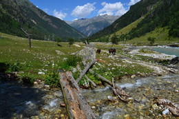 Im Tal des Flusses. Mahar KCR / ***