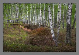 In the hills / ***
