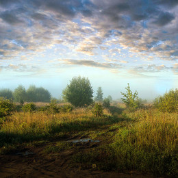 Foggy morning / Tumannoye utro