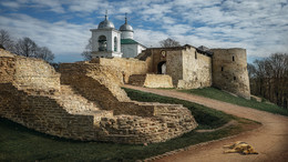  / https://vk.com/id155110533
