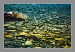 fish / ***