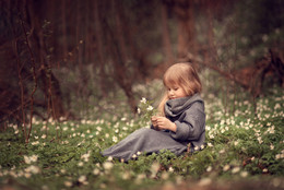 Enchanted forest / ***