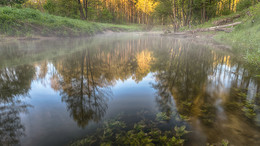 Morgennebel / ***
